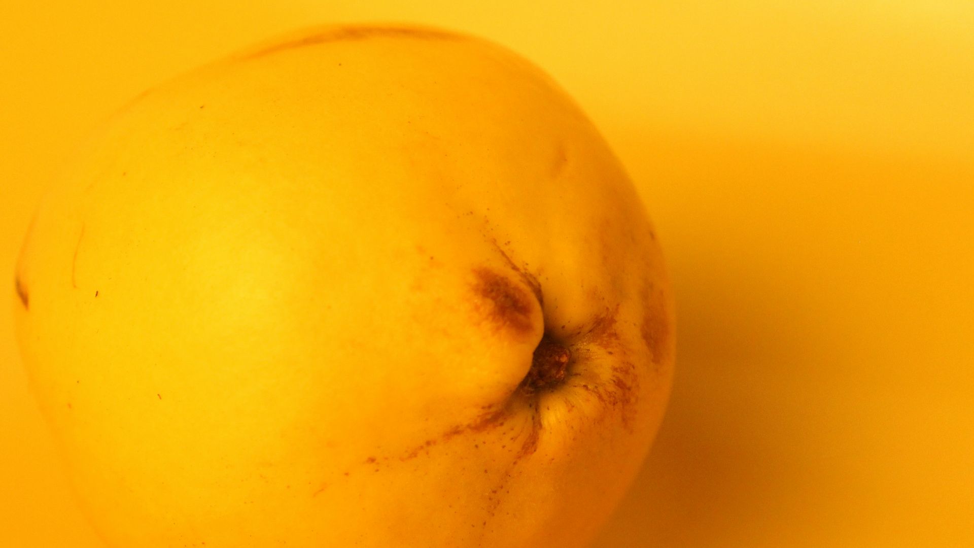 A yellow fruit rests against a yellow background.
