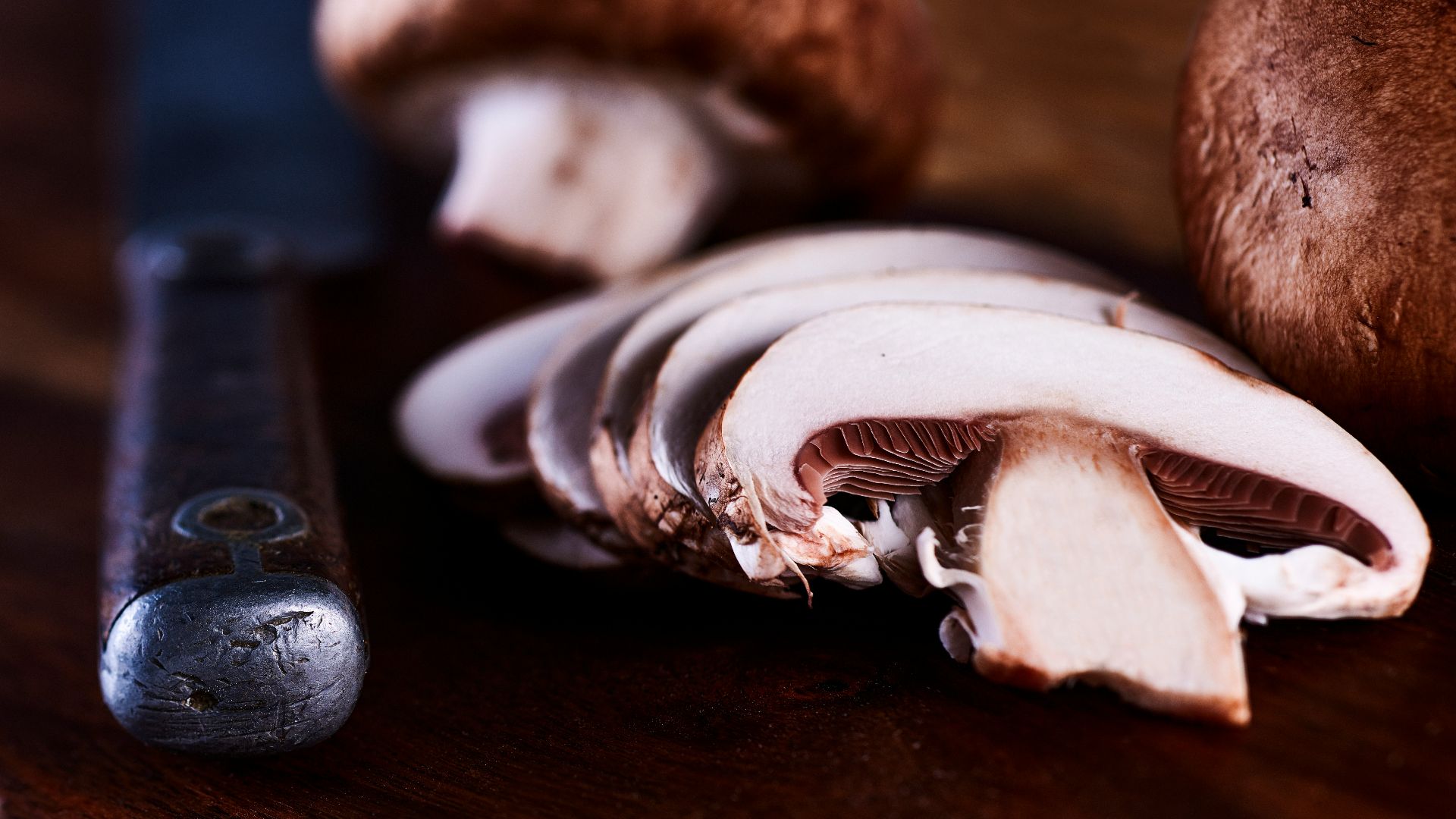 white and brown mushroom on brown wooden table