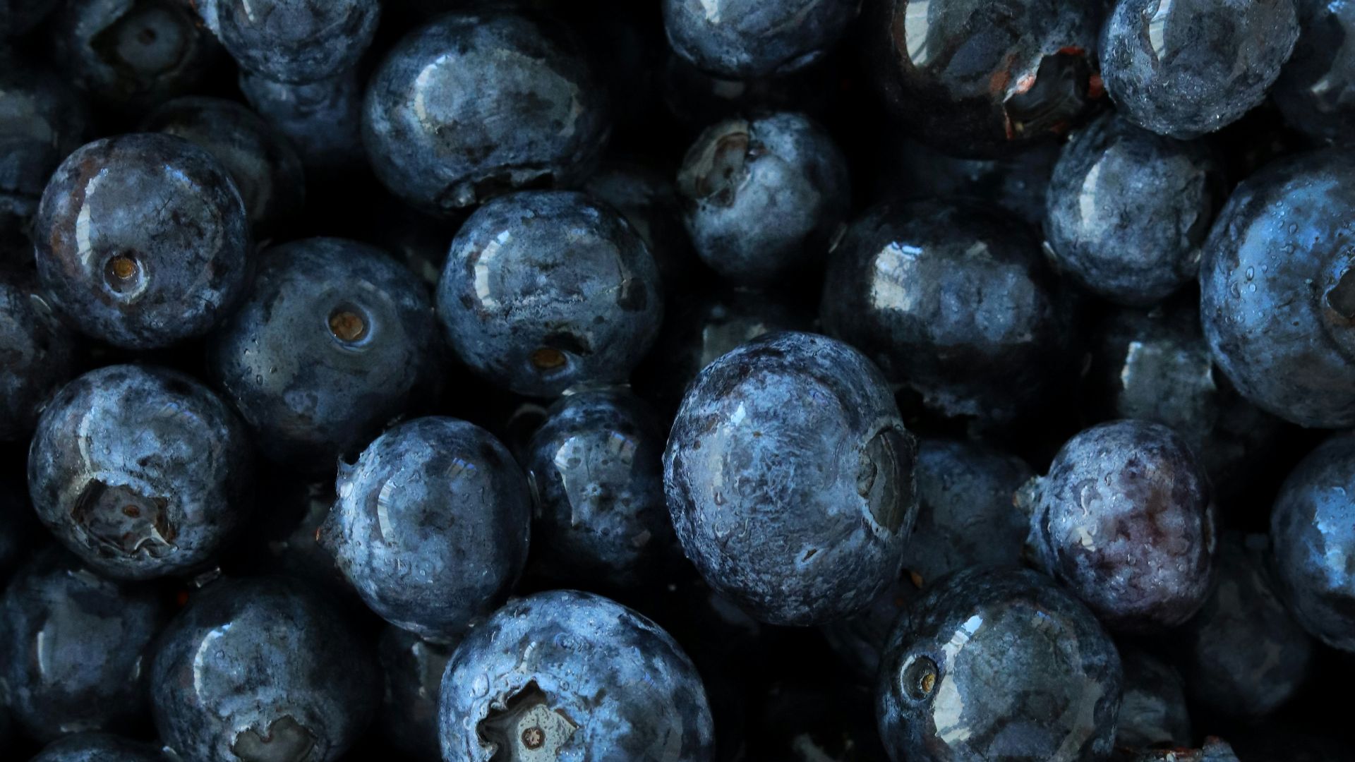 black round fruits on white background