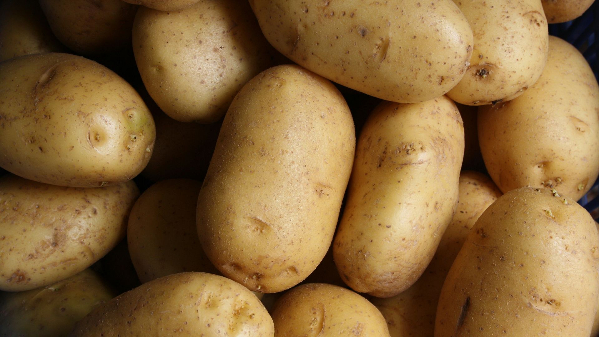 brown potato lot