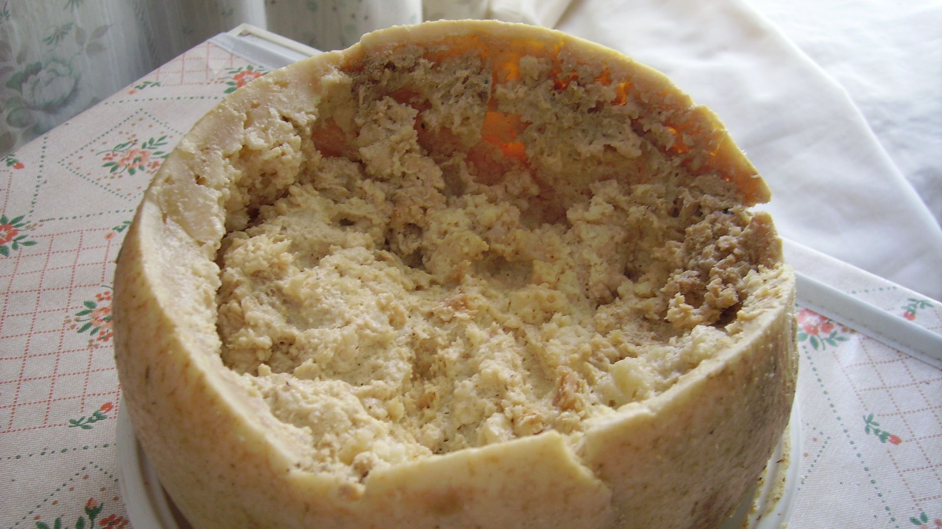 File:Casu Marzu cheese.jpg