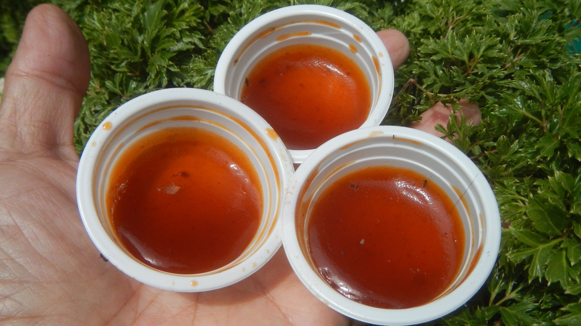 File:9800Sweet and sour sauce 06.jpg
