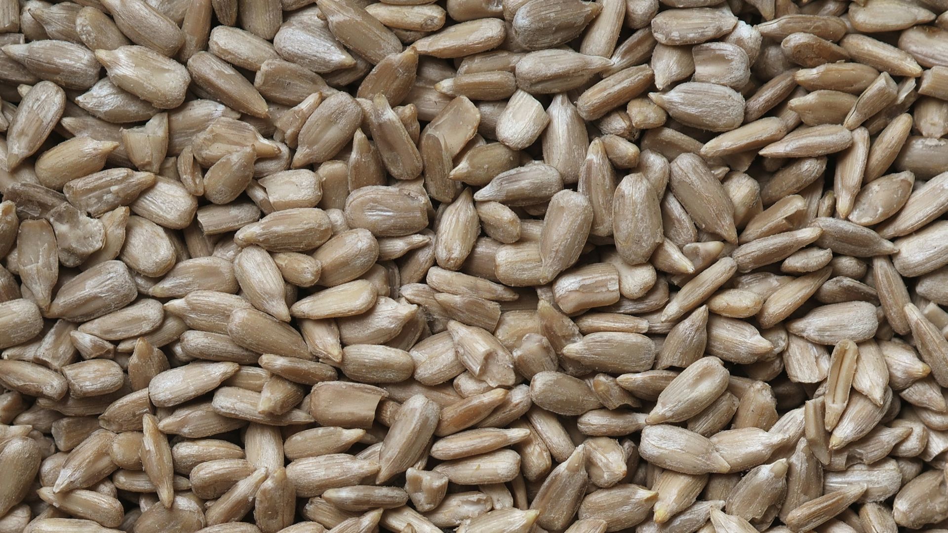 brown and black dried leaves