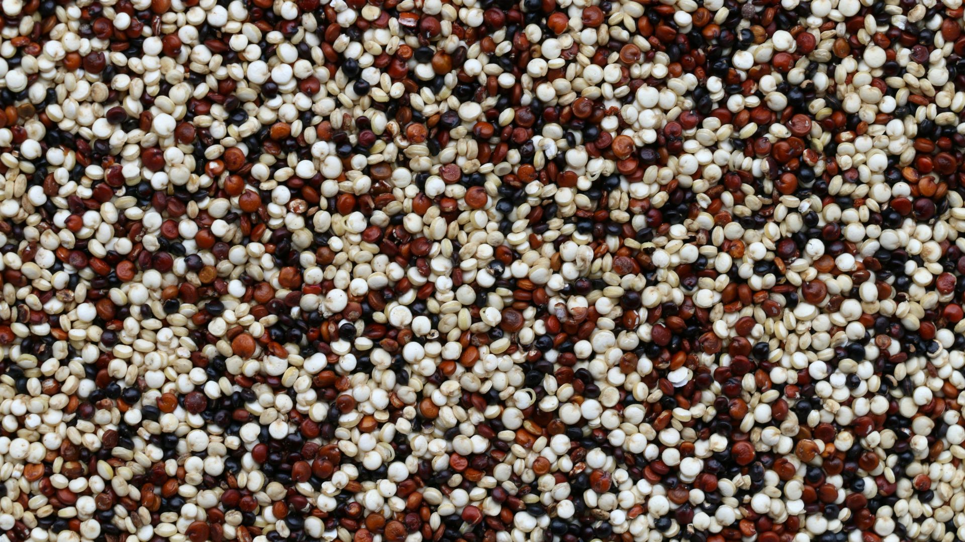 brown and white pebbles on ground