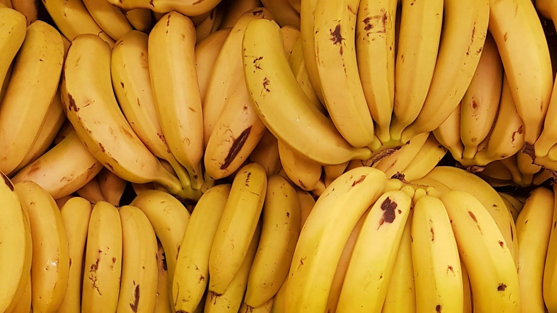 yellow banana fruit on brown wooden table