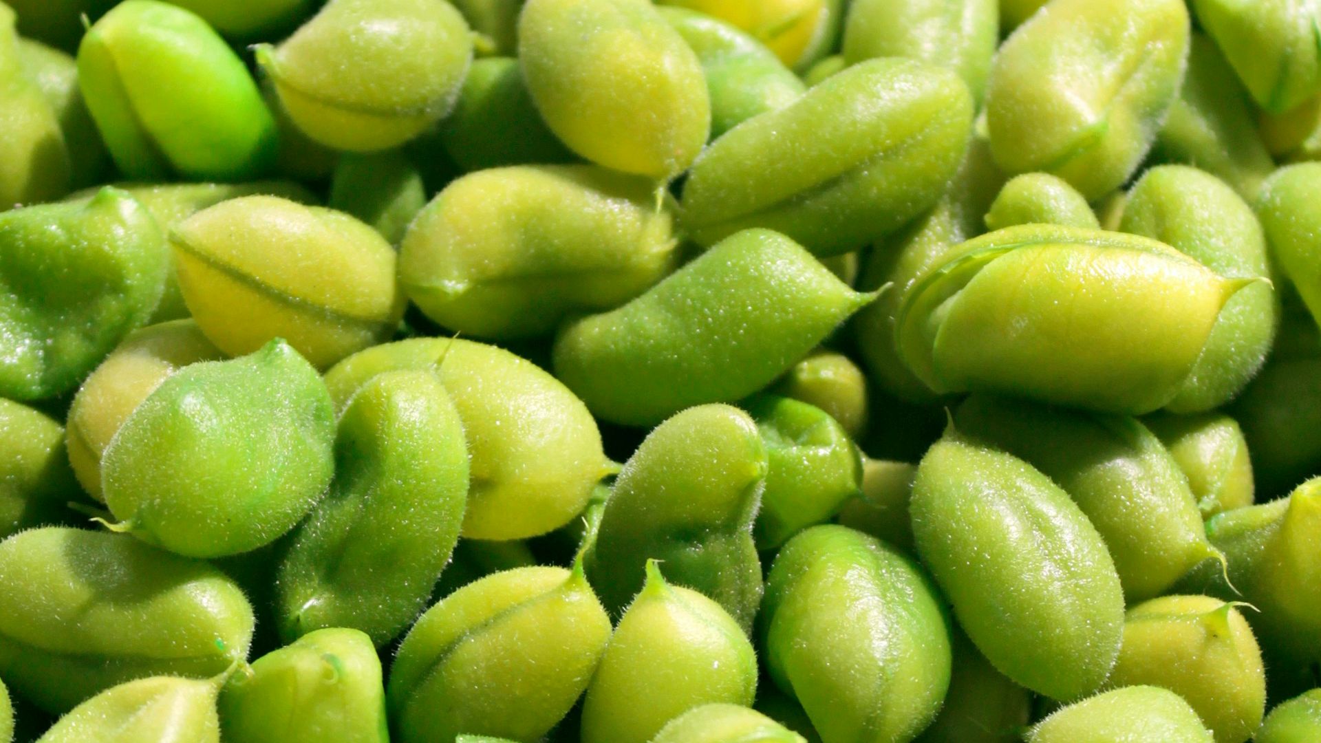 green fruits