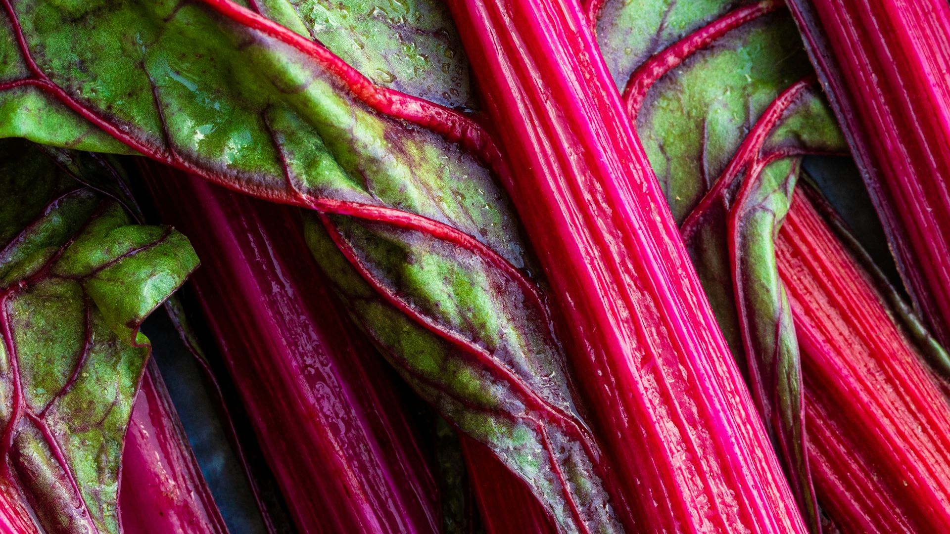 a close up of a bunch of red and green vegetables
