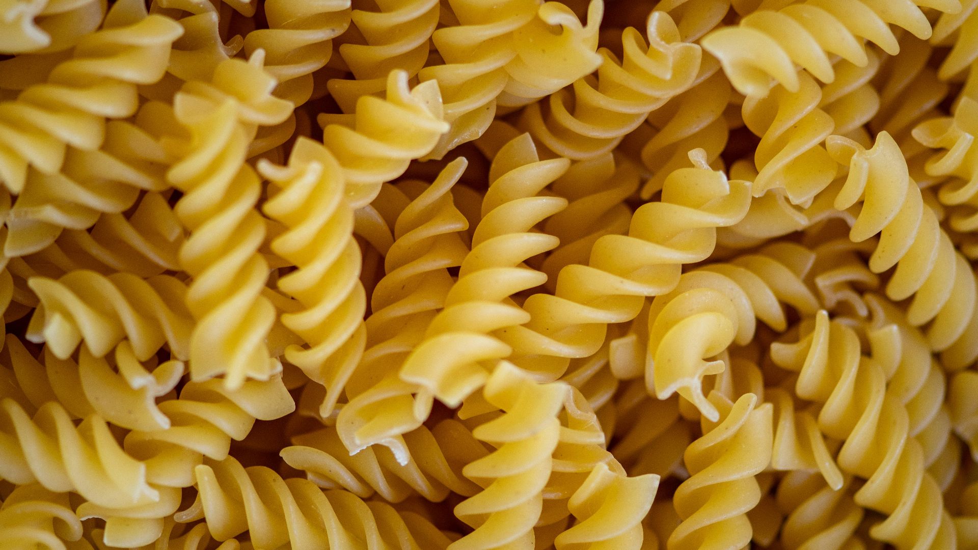 yellow flower petals in close up photography