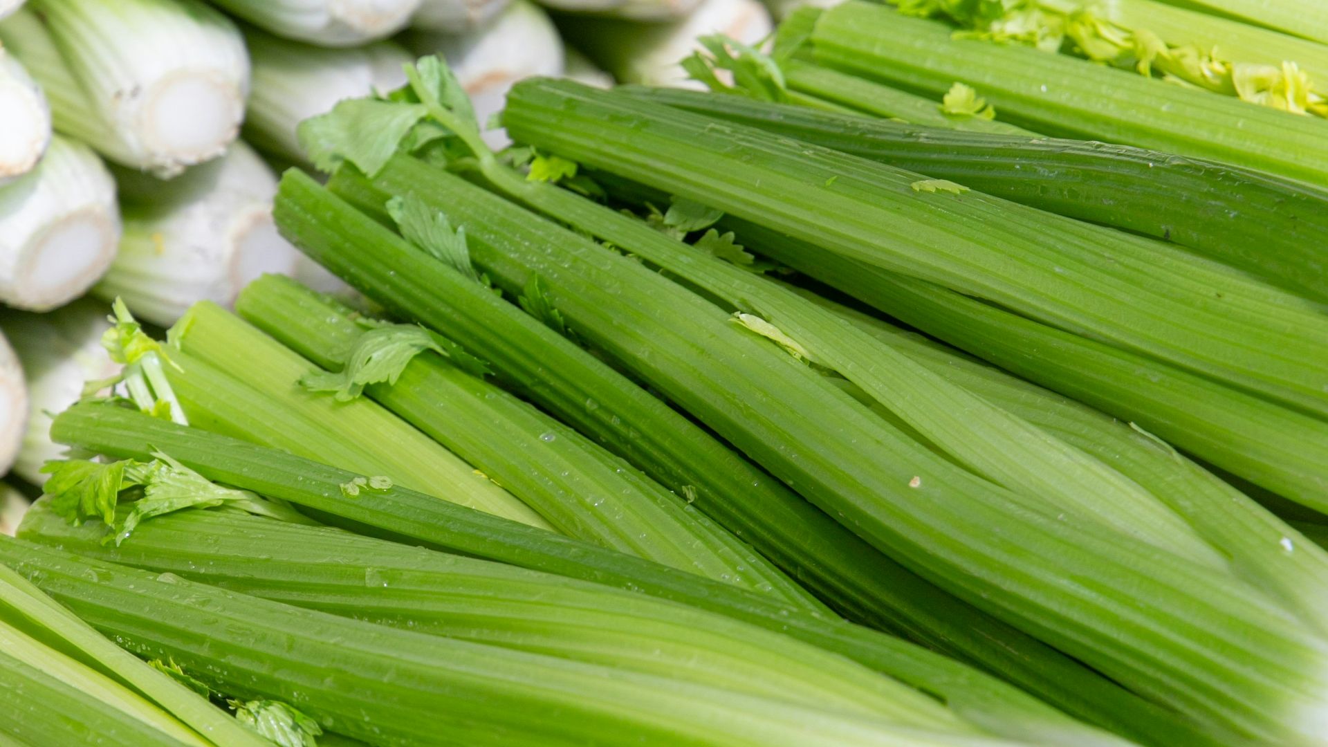 Fresh celery is stacked and ready for sale.