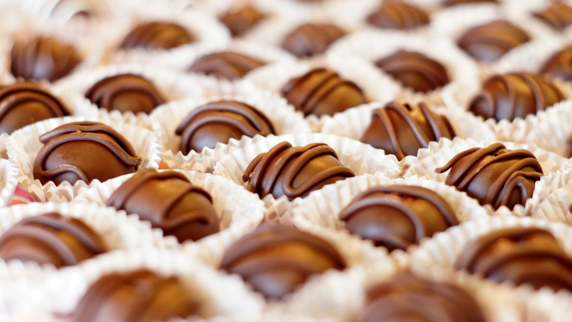 a close up of a tray of chocolates