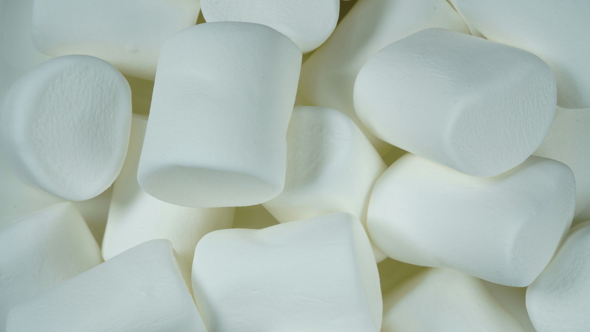 white plastic egg tray lot