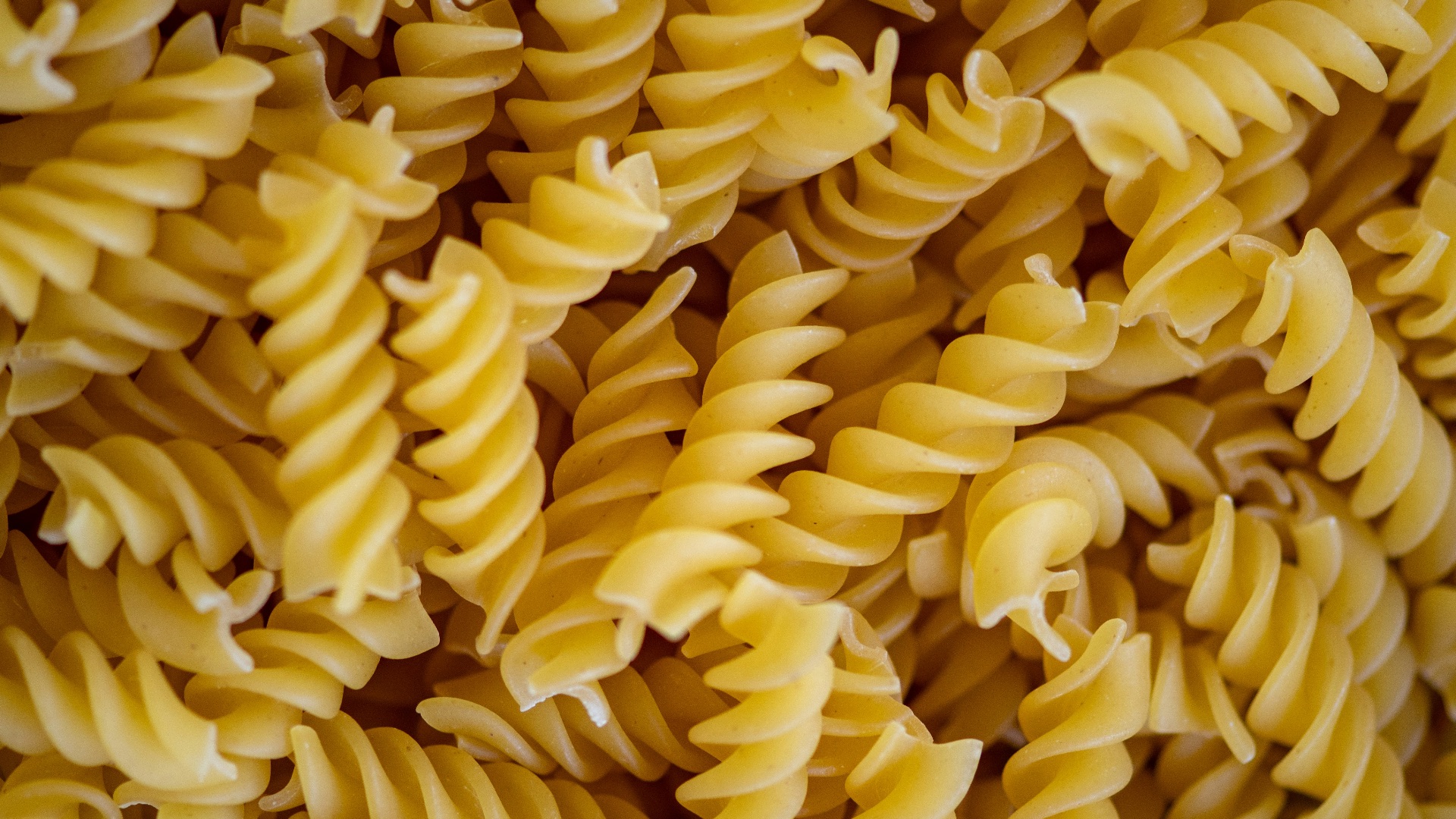yellow flower petals in close up photography
