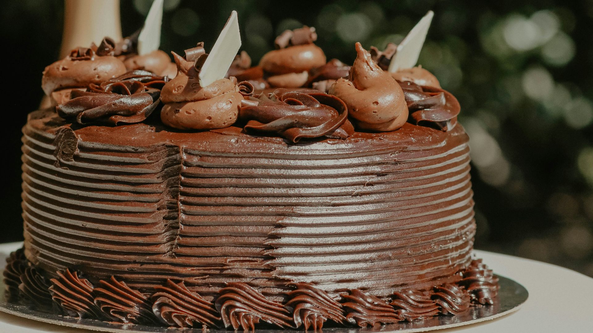 a chocolate cake sitting on top of a white plate