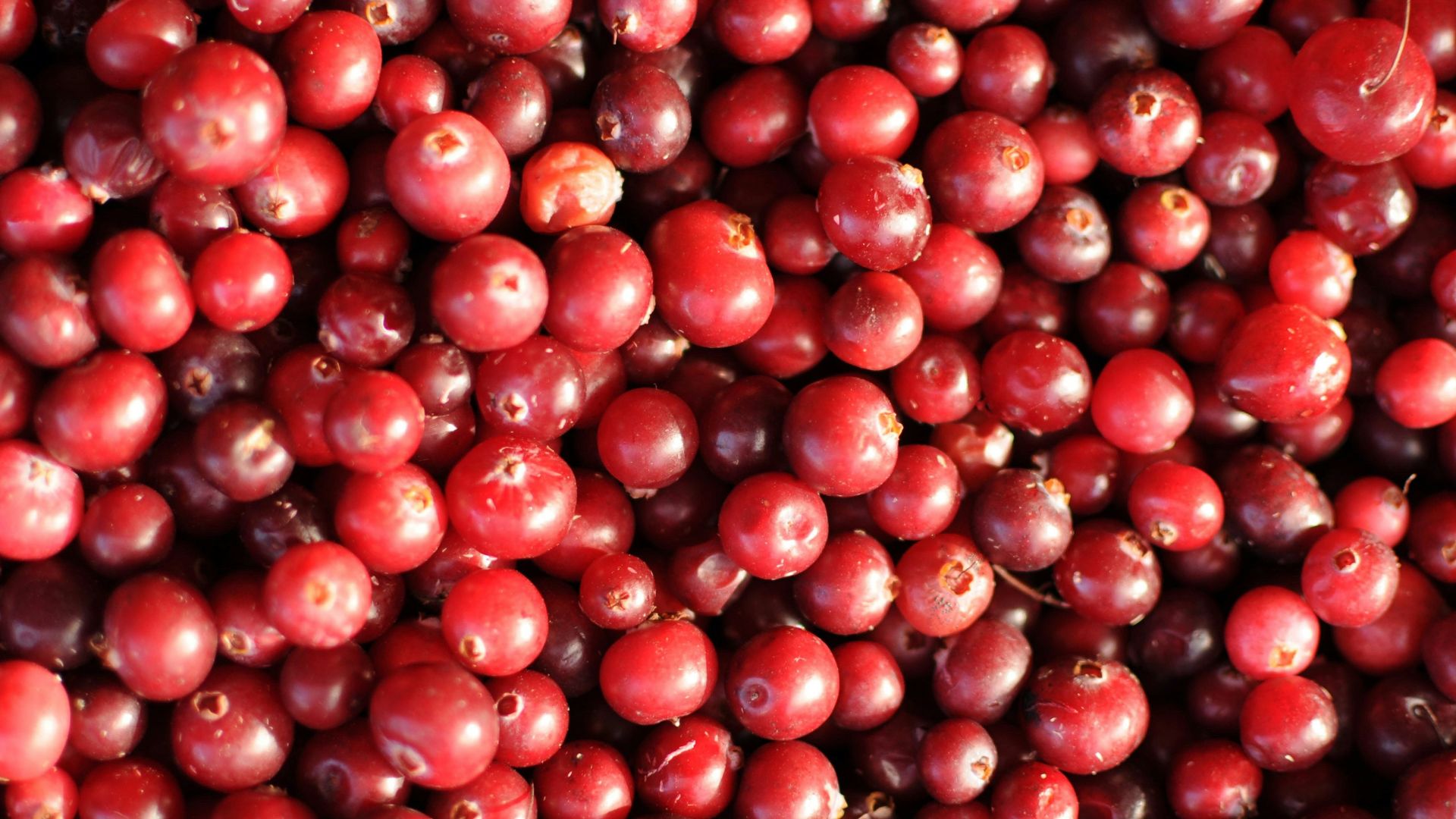 red round fruits on white surface