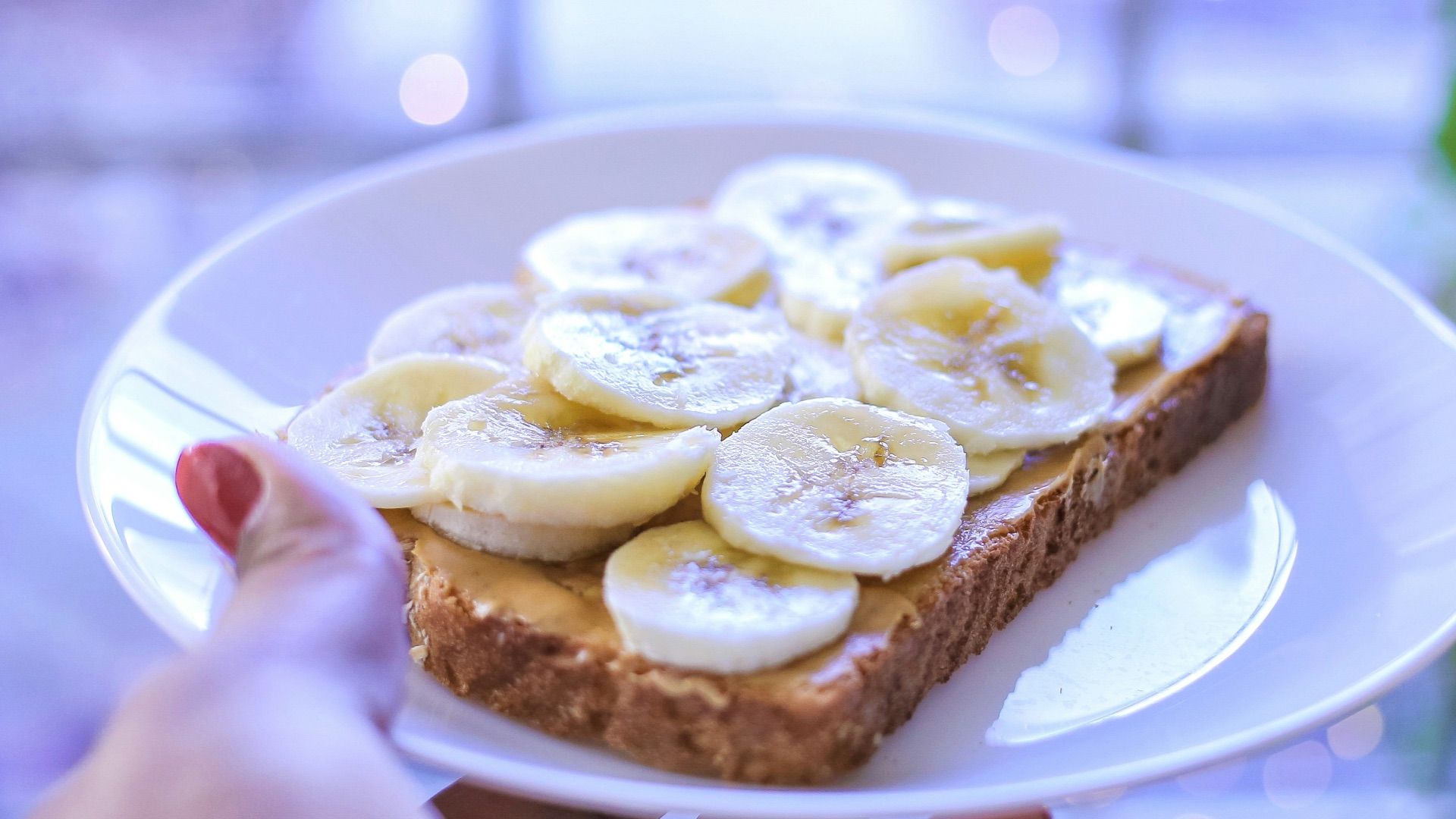 person holding brown bread on white ceramic plate