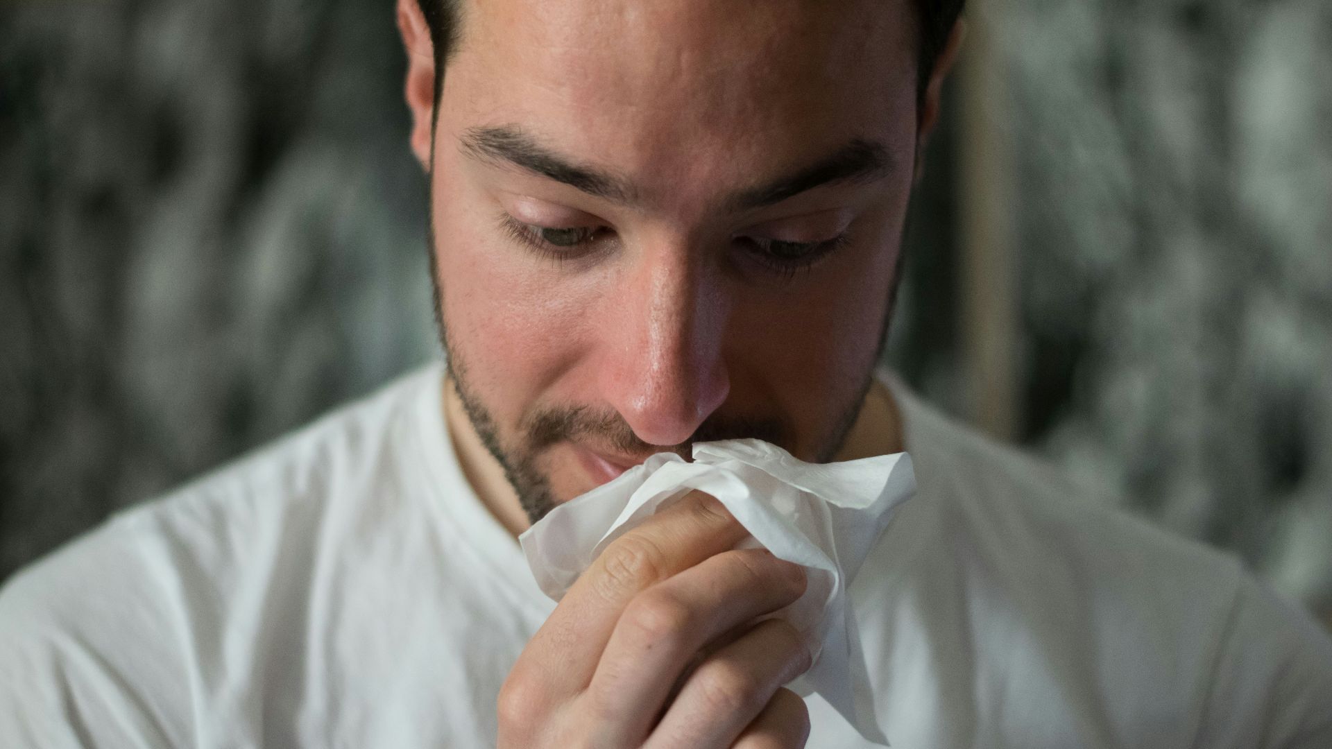 man wiping mouse with tissue paper