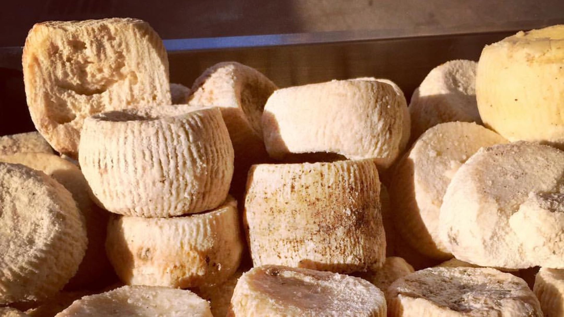 File:Ricotta salata al mercato di Siracusa.jpg - Wikimedia Commons