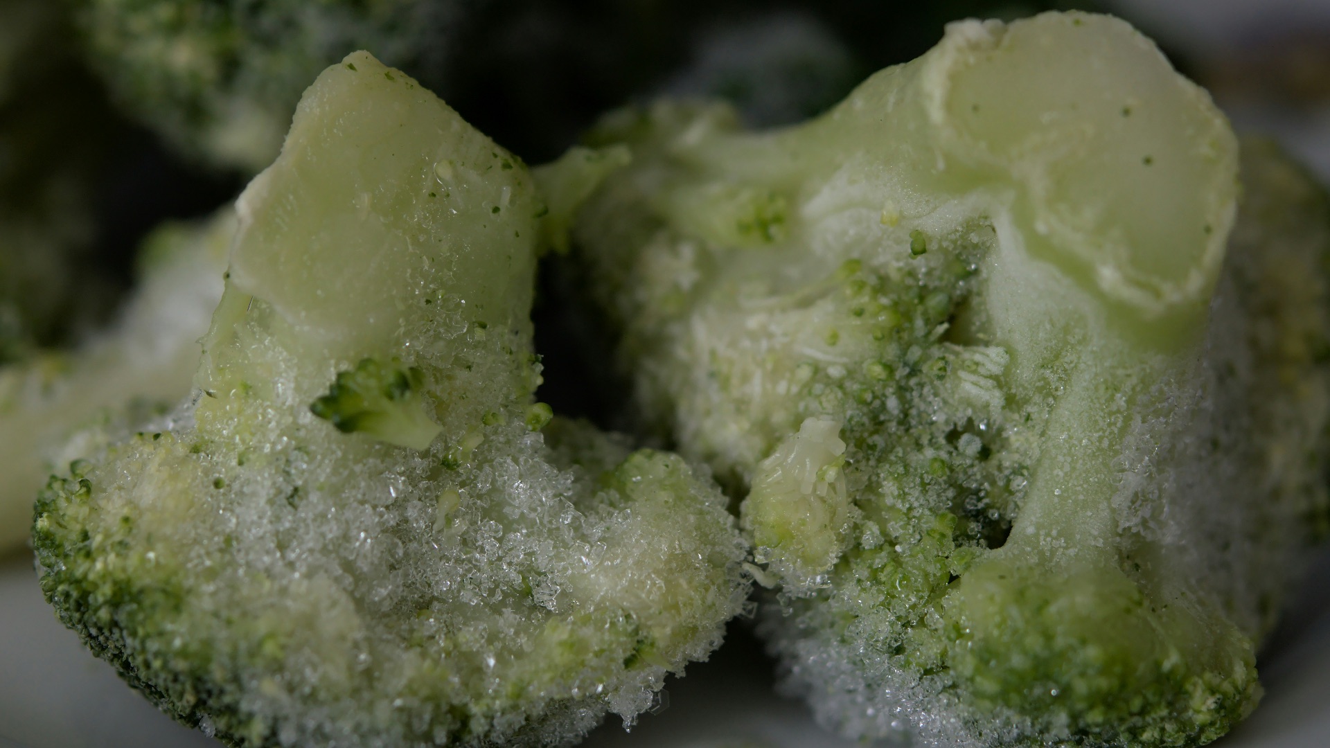 green and white food on white ceramic plate