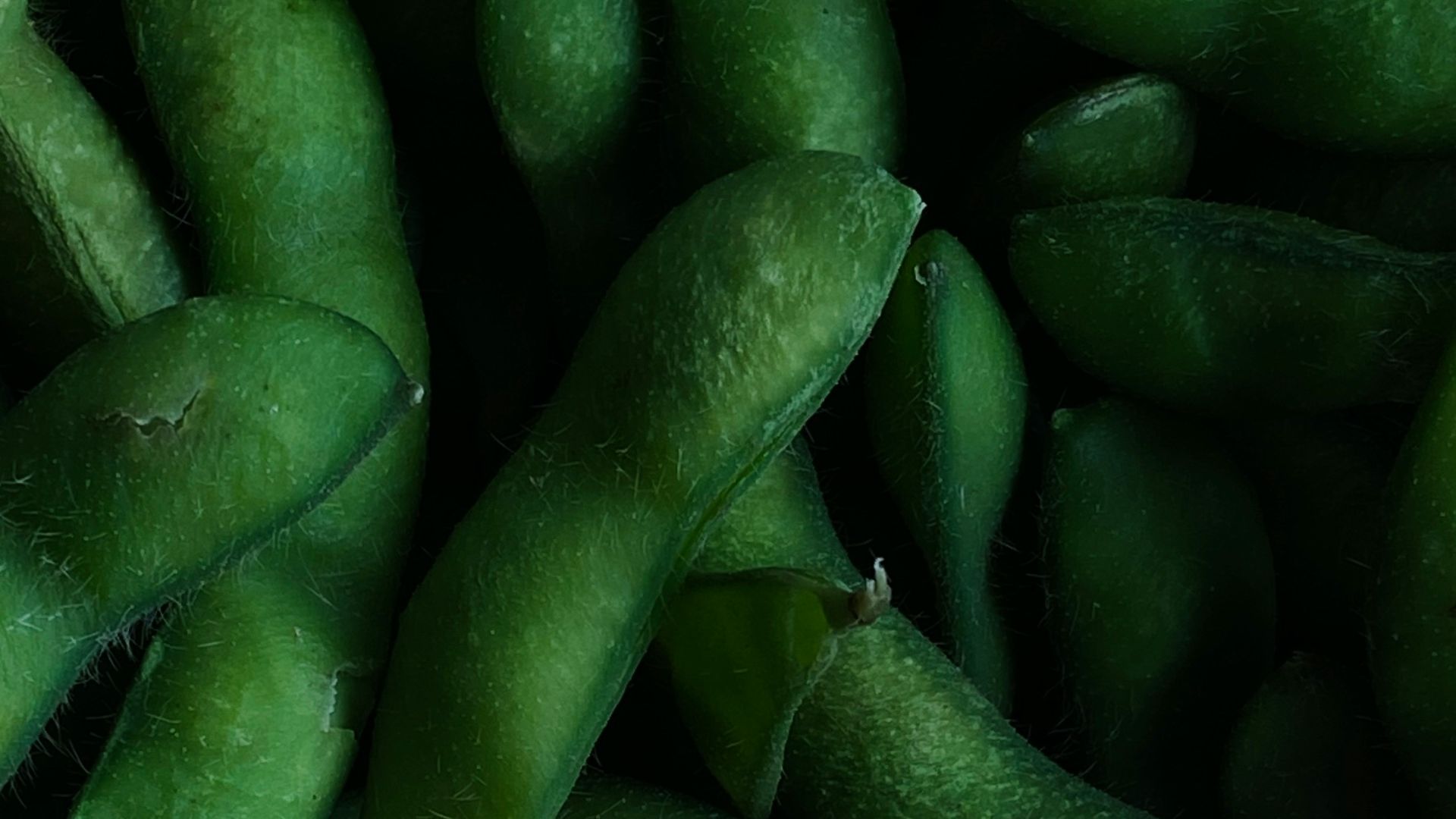 a pile of green beans sitting next to each other
