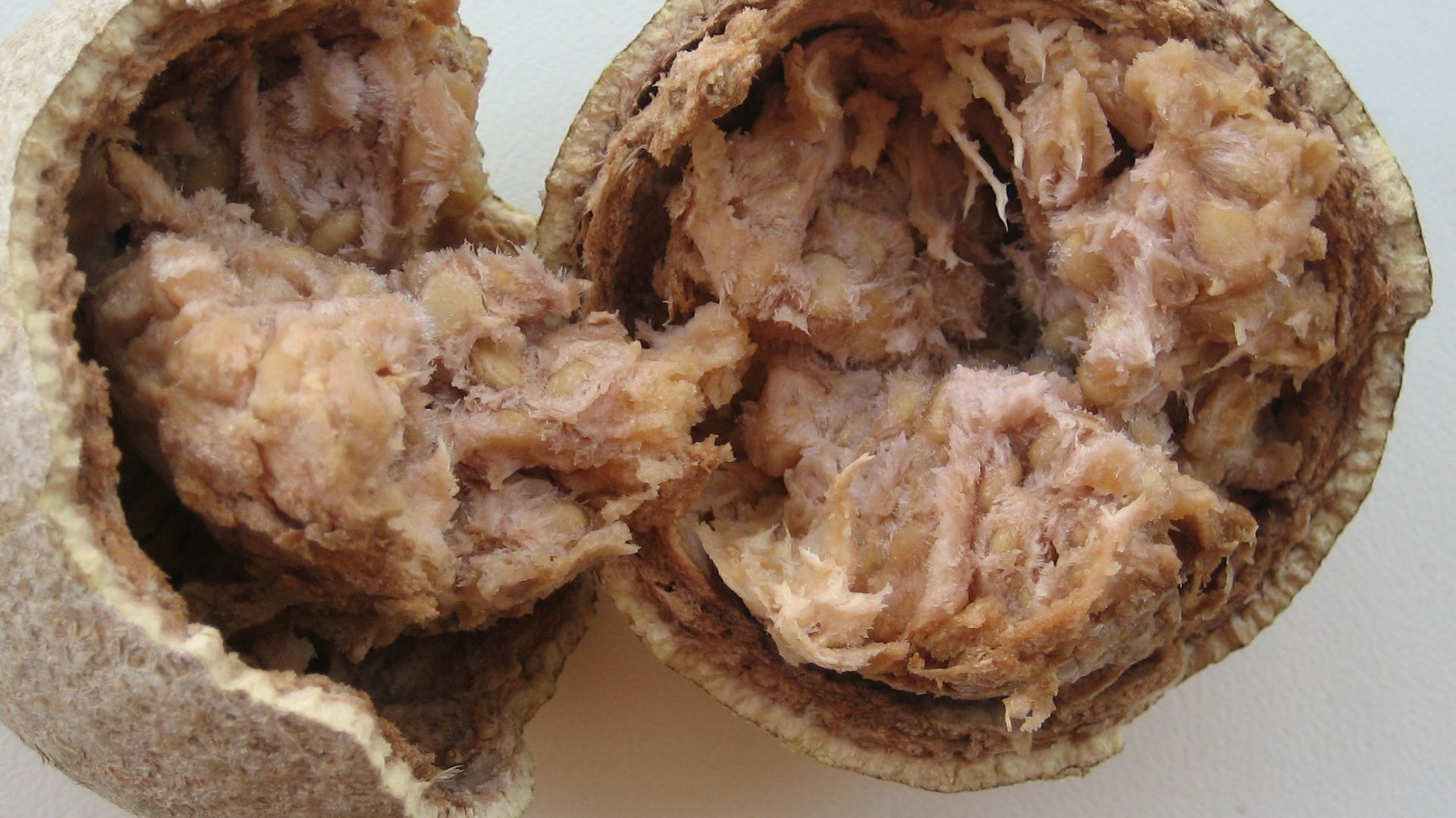 File:Wood-apple dec2007.jpg