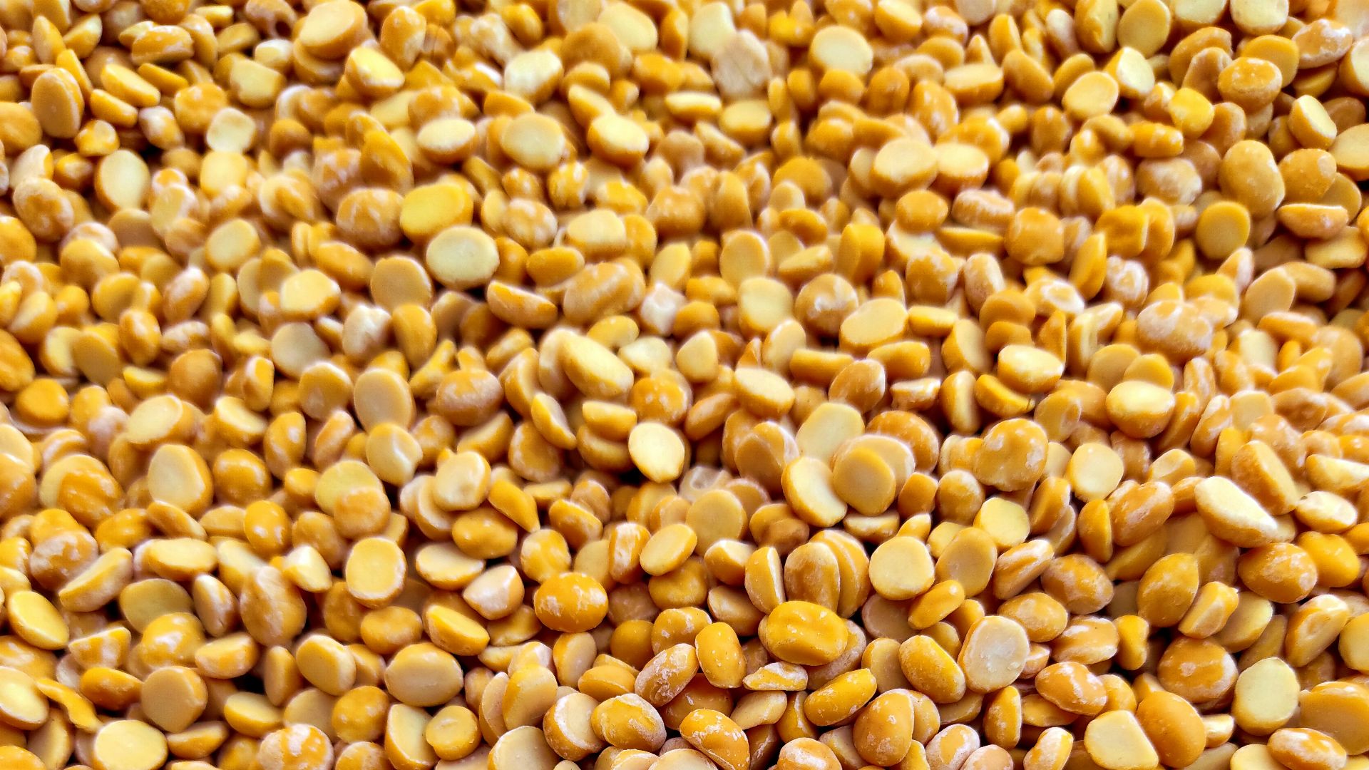 yellow and brown beans on brown wooden table