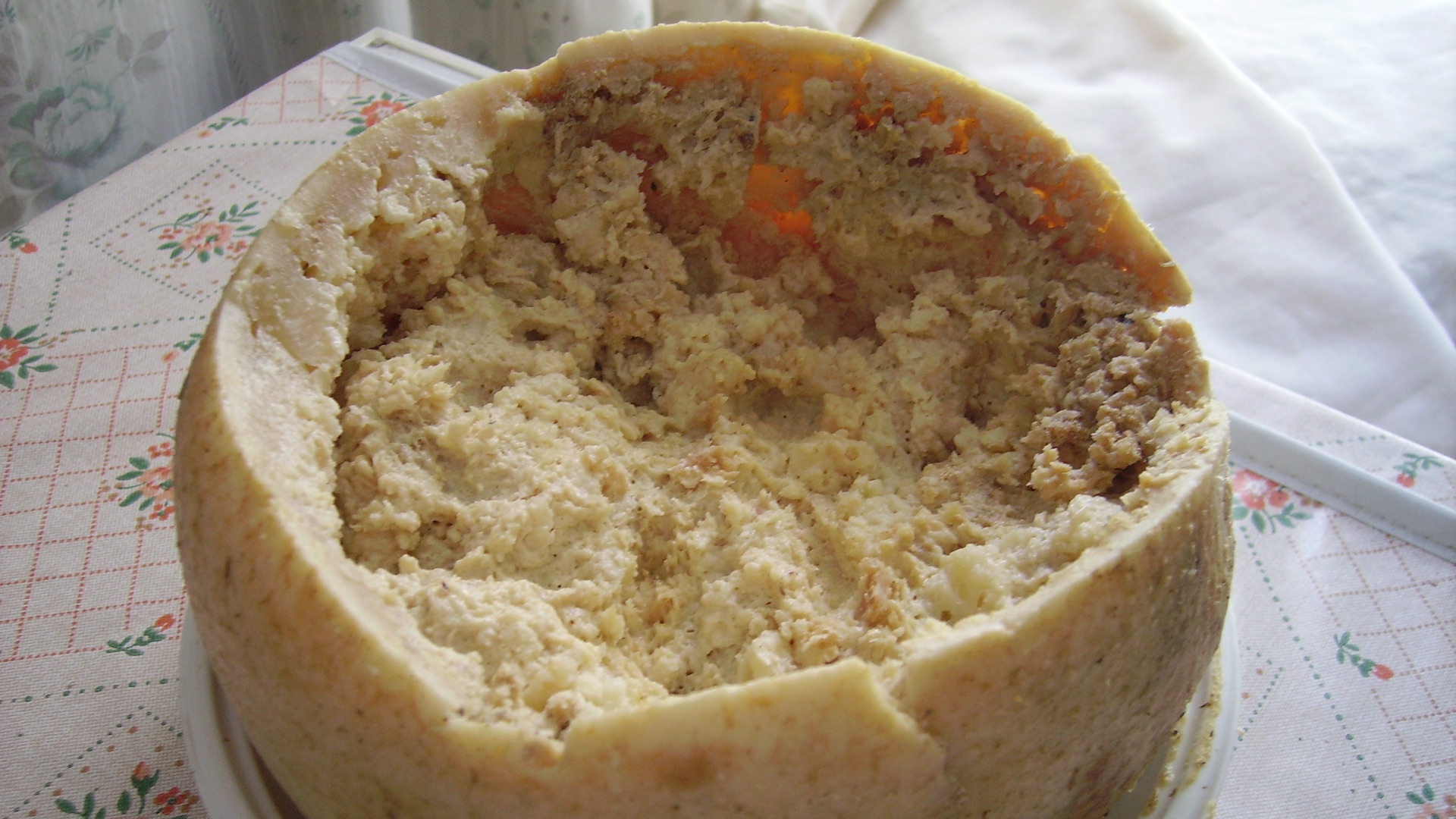 File:Casu Marzu cheese.jpg