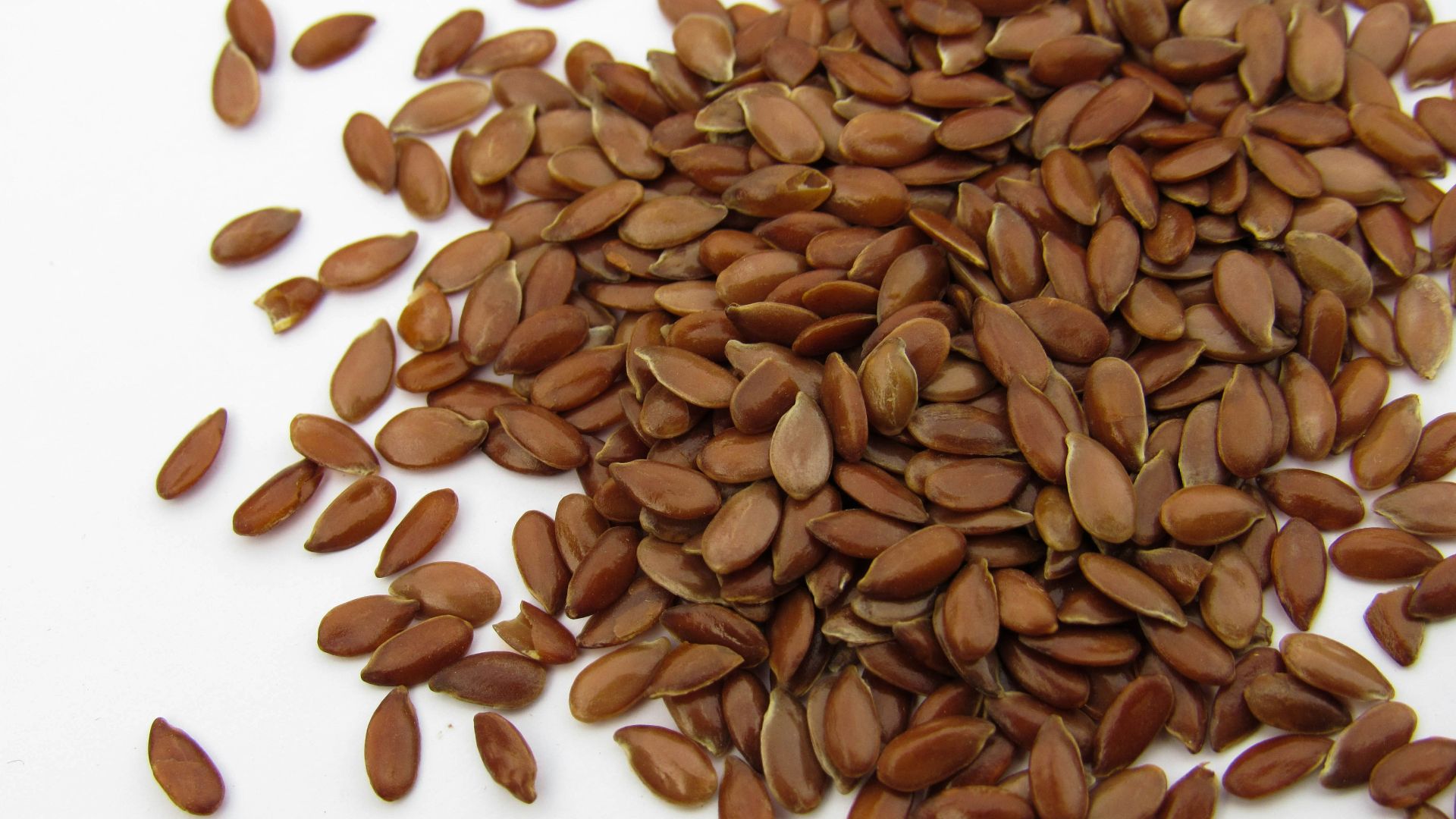 a pile of sunflower seeds on a white surface