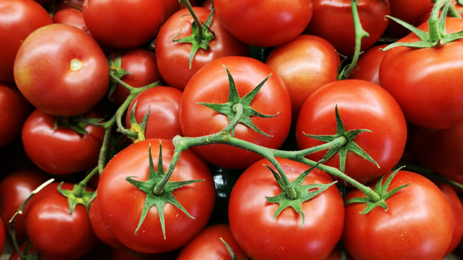 red tomatoes on brown wooden table
