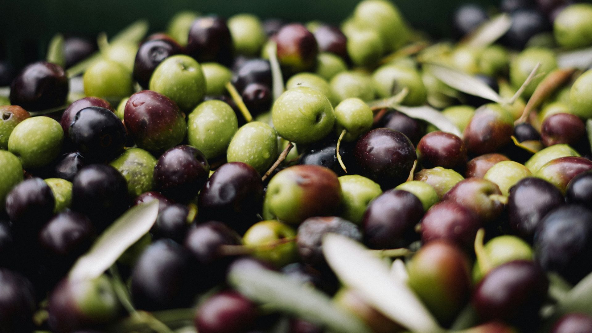 a pile of green and black olives sitting on top of each other