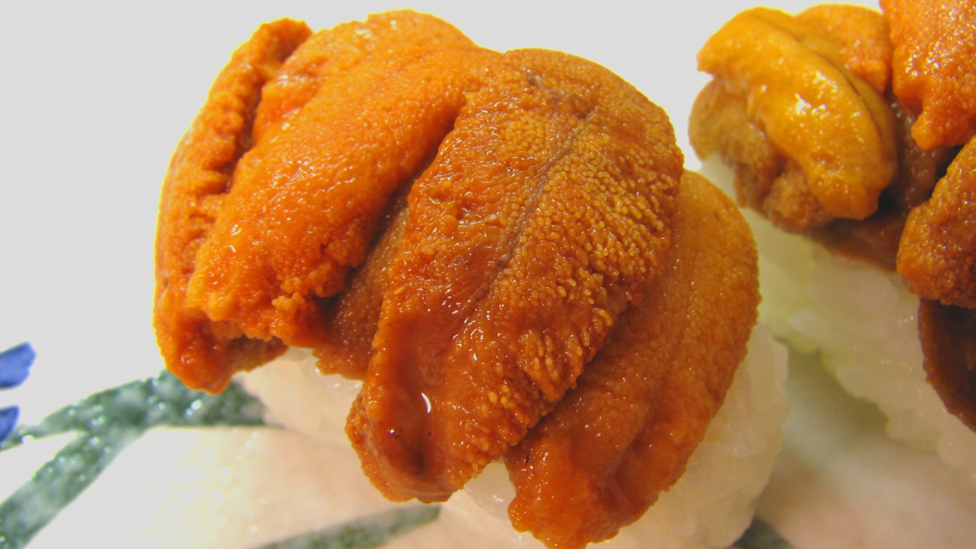 File:Sushi uni.jpg