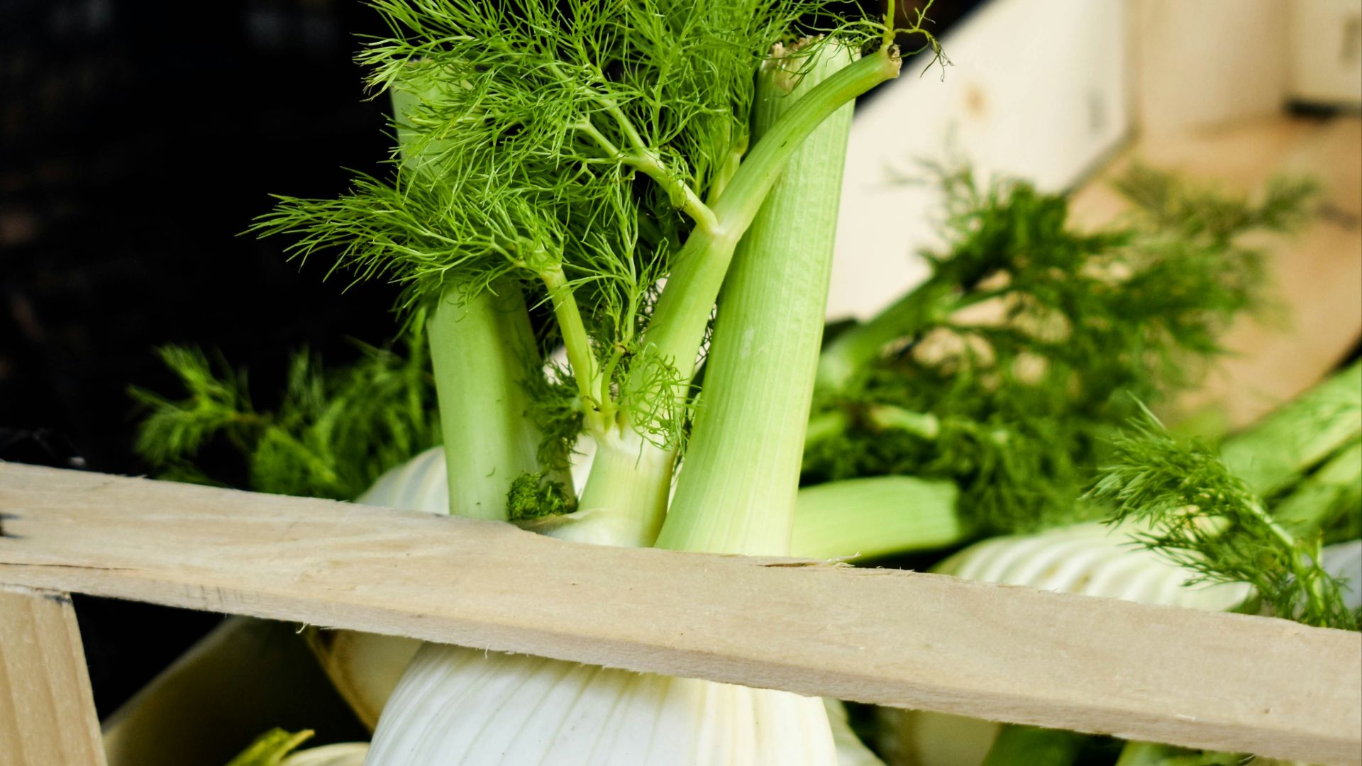 a crate filled with lots of green vegetables
