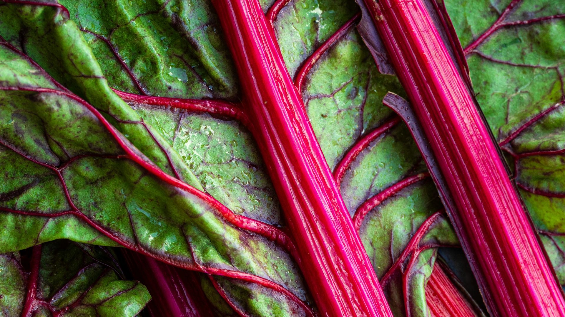 a close up of a bunch of red and green vegetables