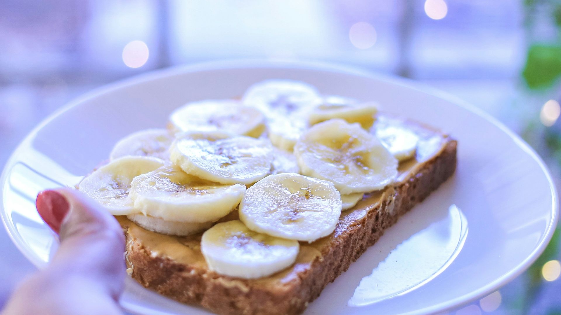 person holding brown bread on white ceramic plate