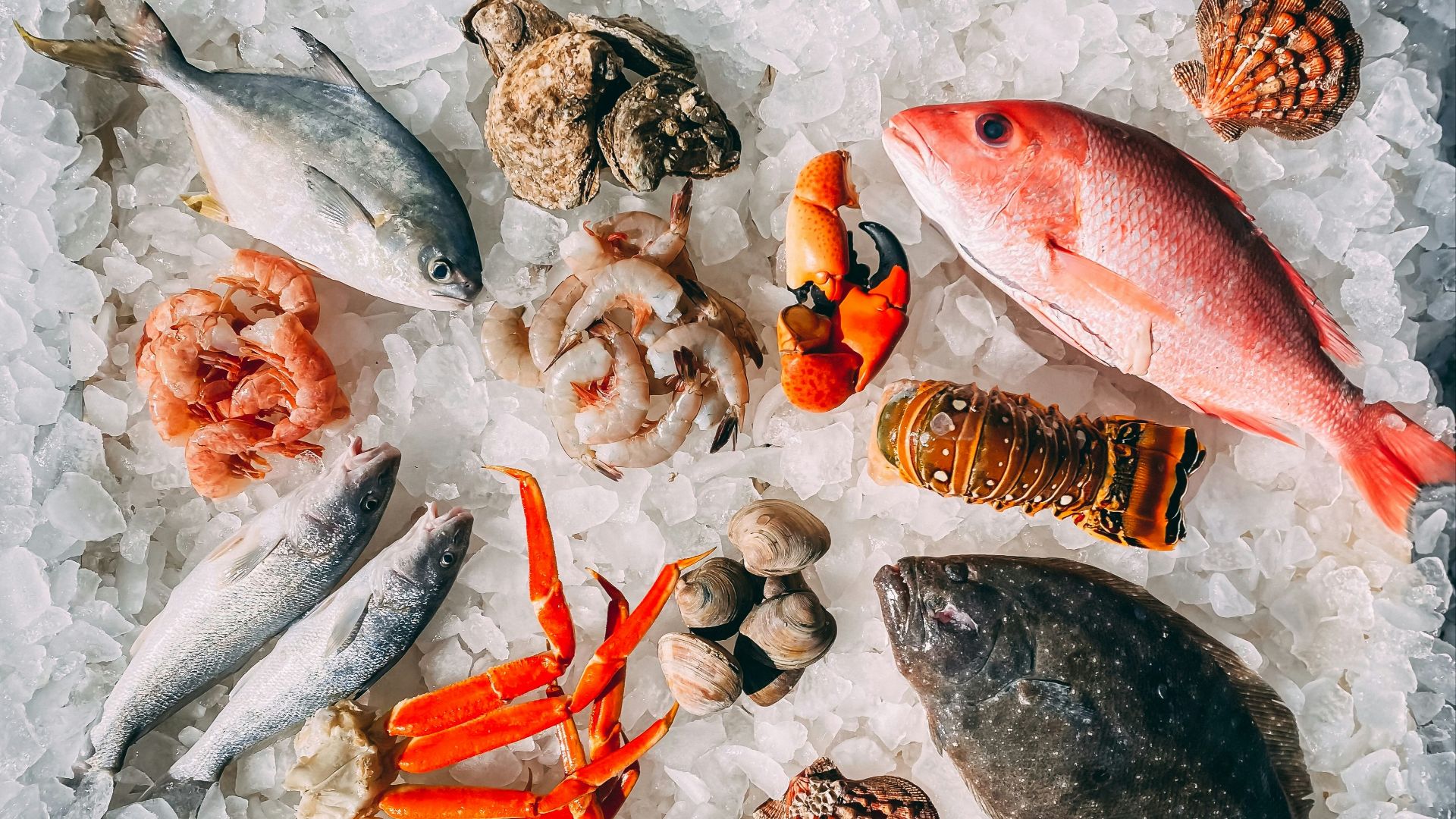 orange and white fish on white and black pebbles