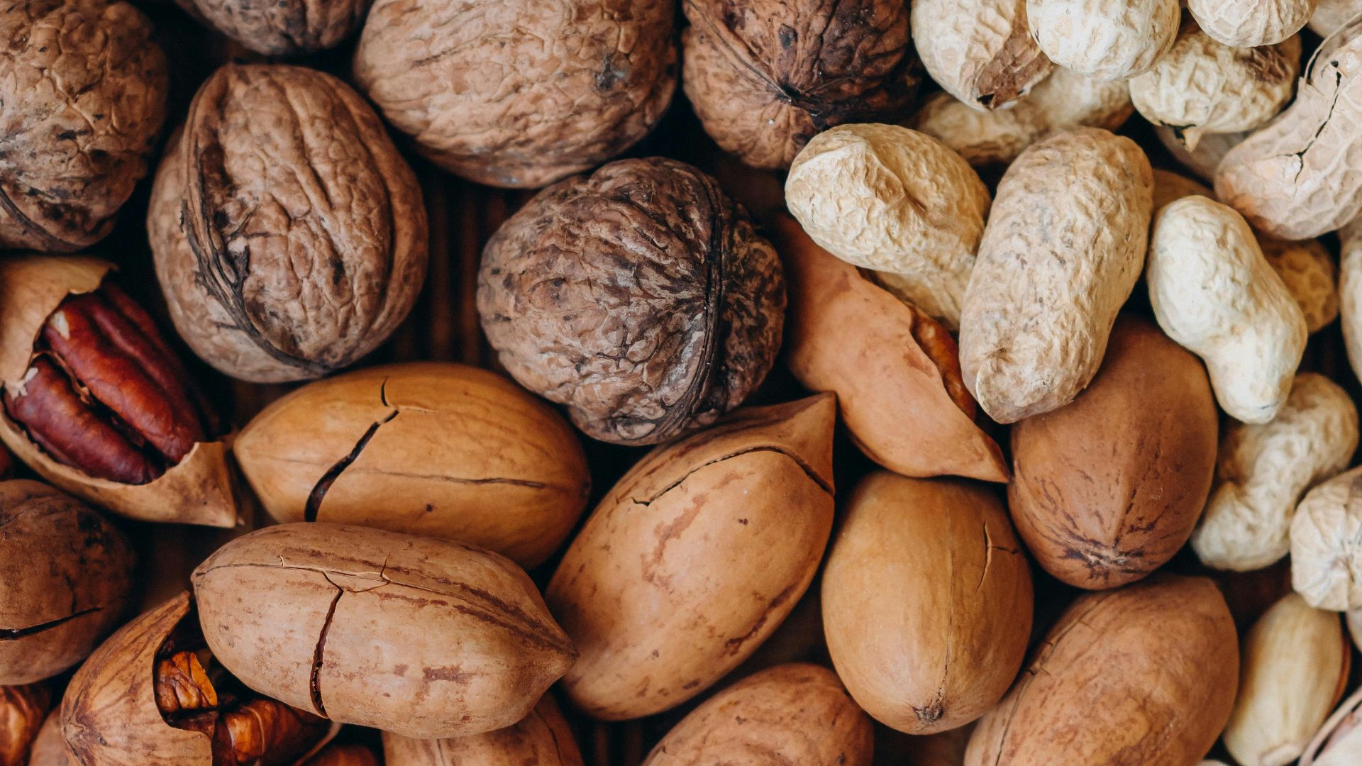 brown and beige nut lot