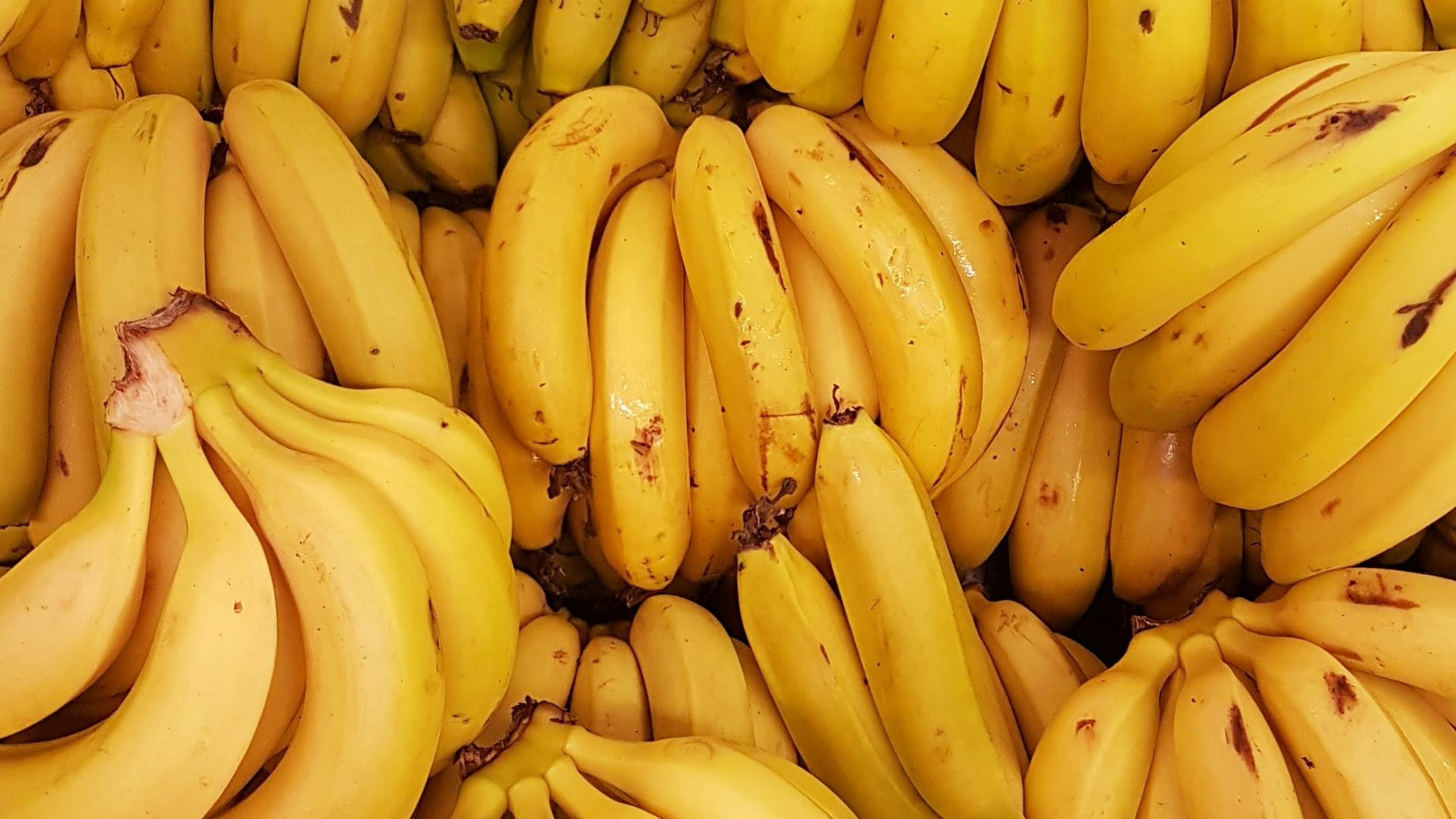 yellow banana fruit on brown wooden table