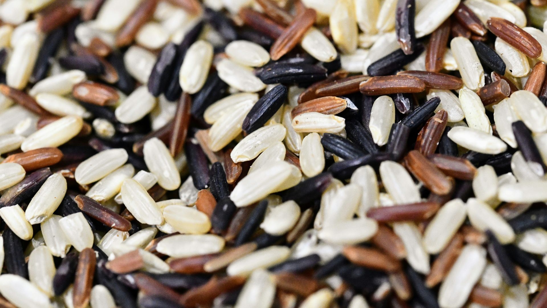A close-up of mixed grains of rice.