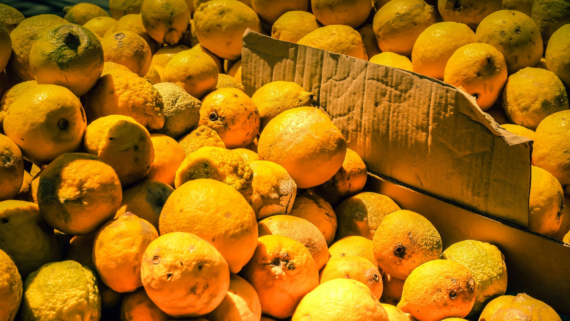 a pile of oranges