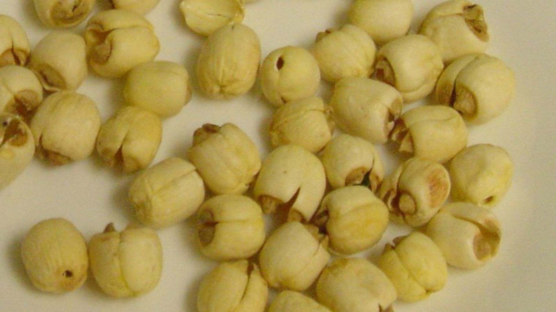 File:DriedLotusSeeds.jpg