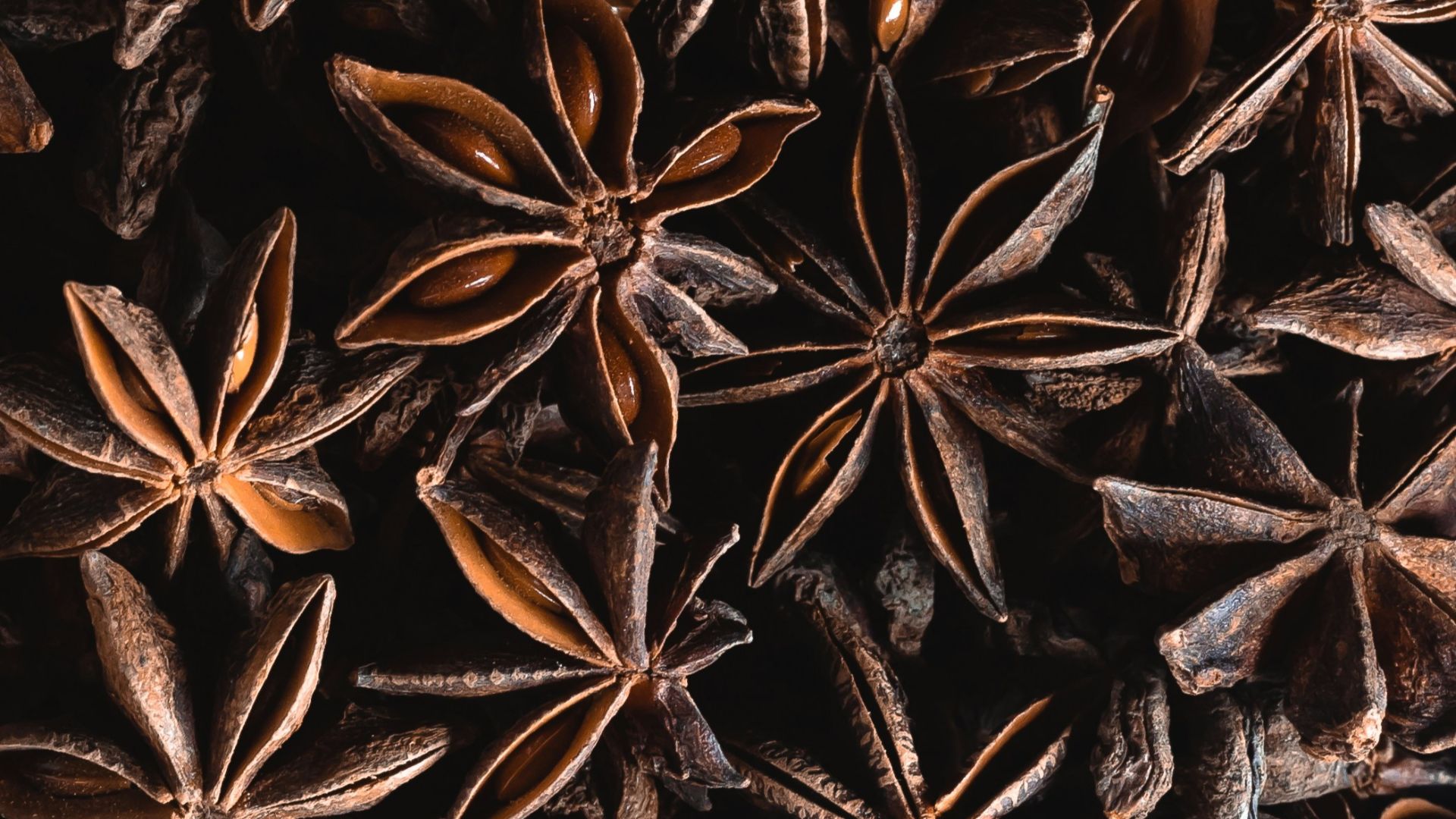 a bunch of star anise on a table