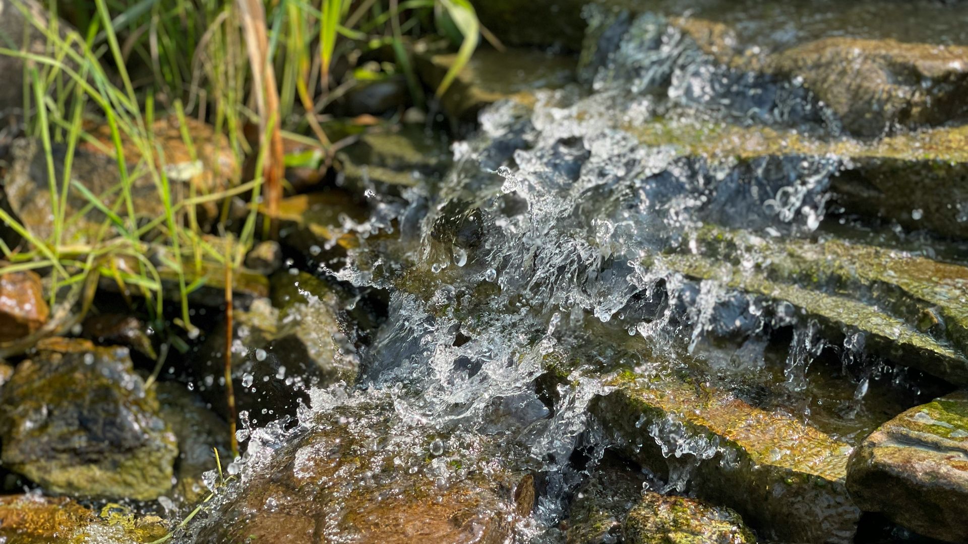 177766128495c36072bee3bc35782eb91df86b85f7fc577d33.jpg
