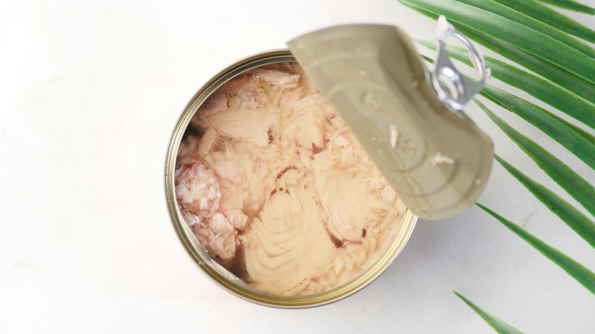 canned-tuna-thumb-rss.png
