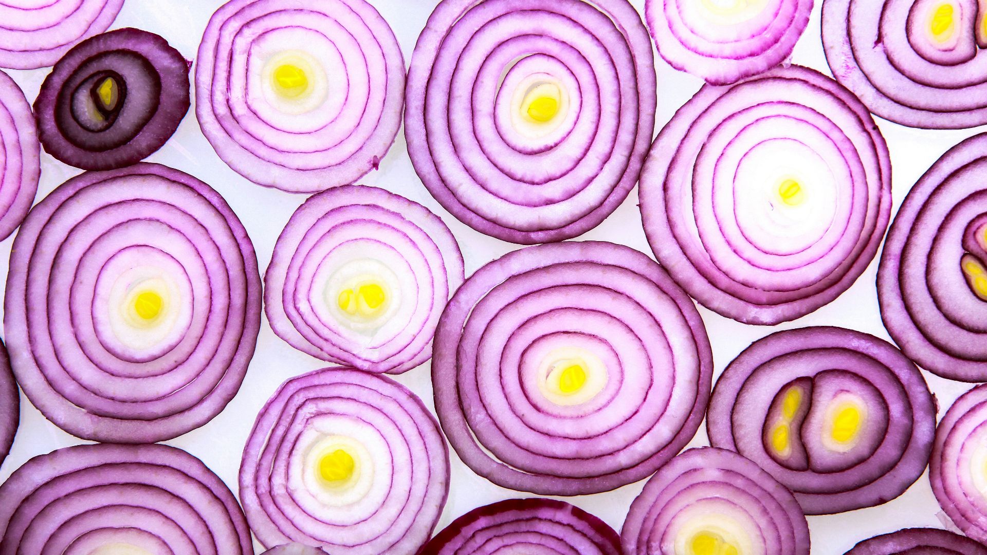 17800642960bda273e508397a2c8560e7b10b4c44e895961df.jpg