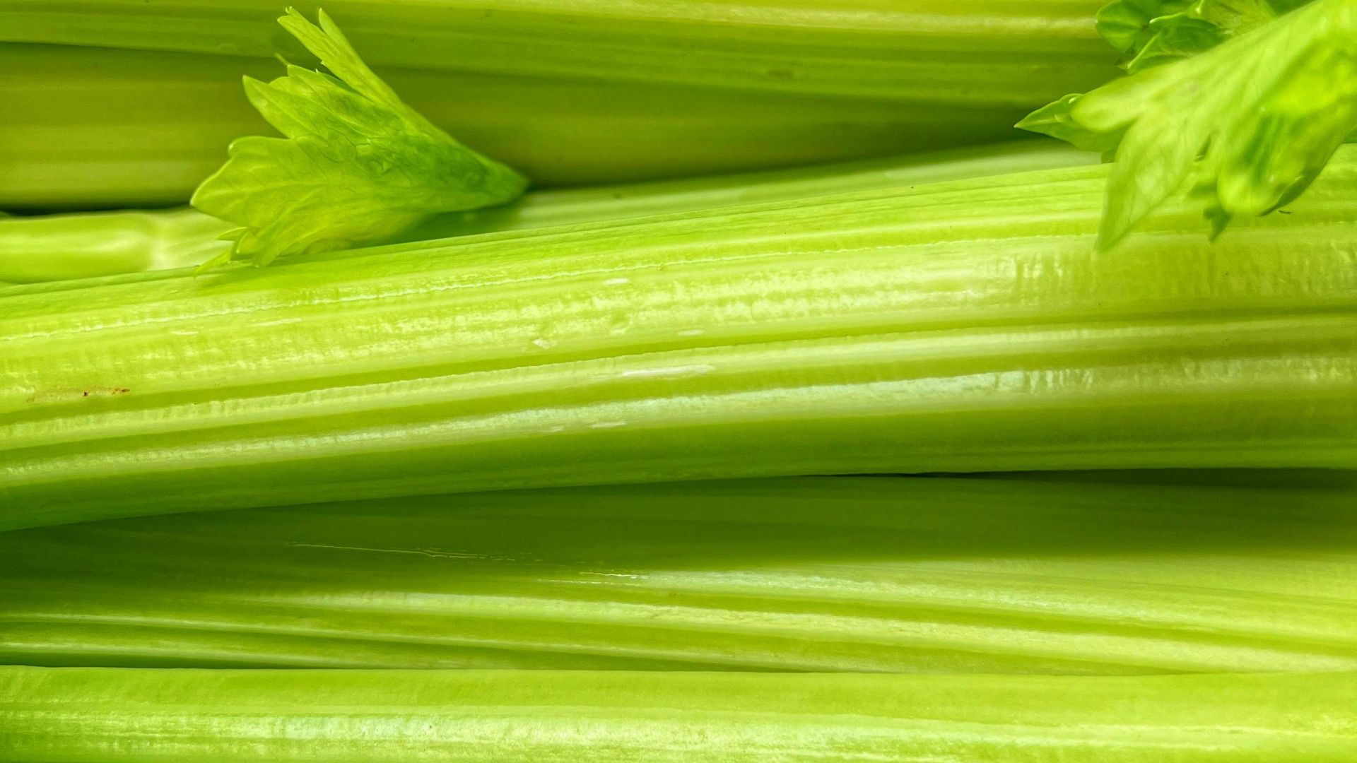 1778262699d0537511cfff9005ce94506151b284865ab9503d.jpeg