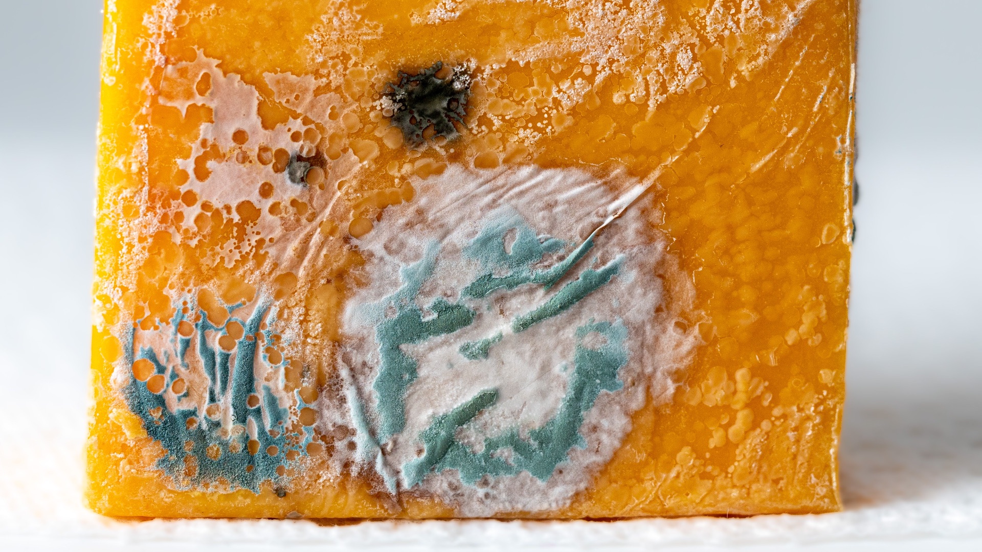 1781539368dc1f9a27ea80d0f433ccf216602ec06284bfe0e3.jpeg