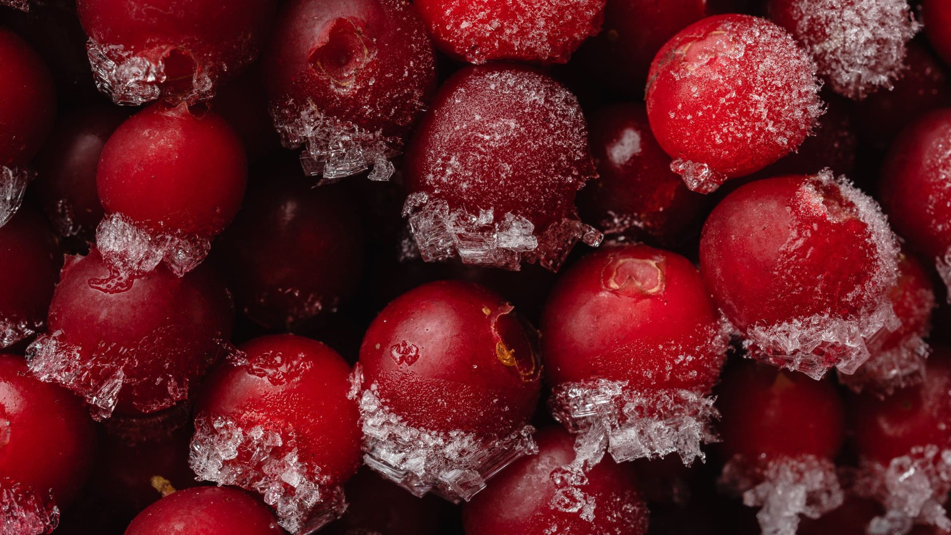 frozen-food-berries-thumb-rss.png