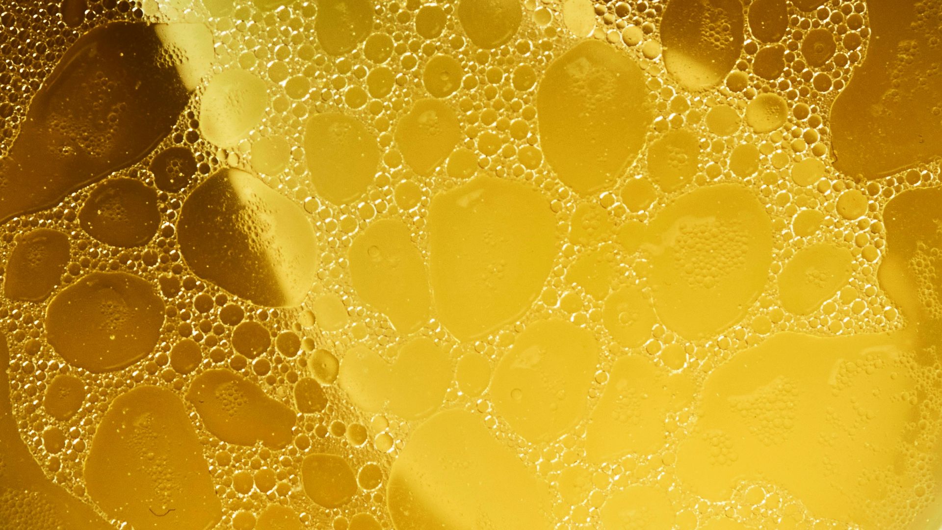 1780683408350db246a795f53b5c238e30c5cb7f417661de85.jpg