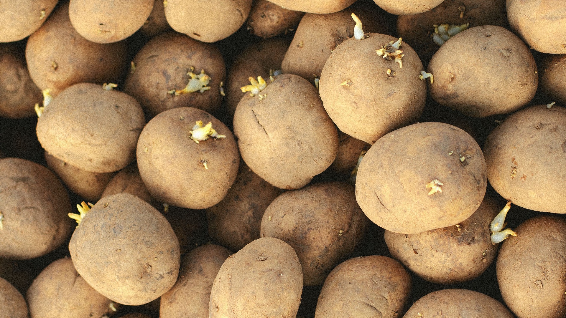 1785166807398f46ae5730ada5bbf0e09d46a3b4f9ddf57e5b.jpeg