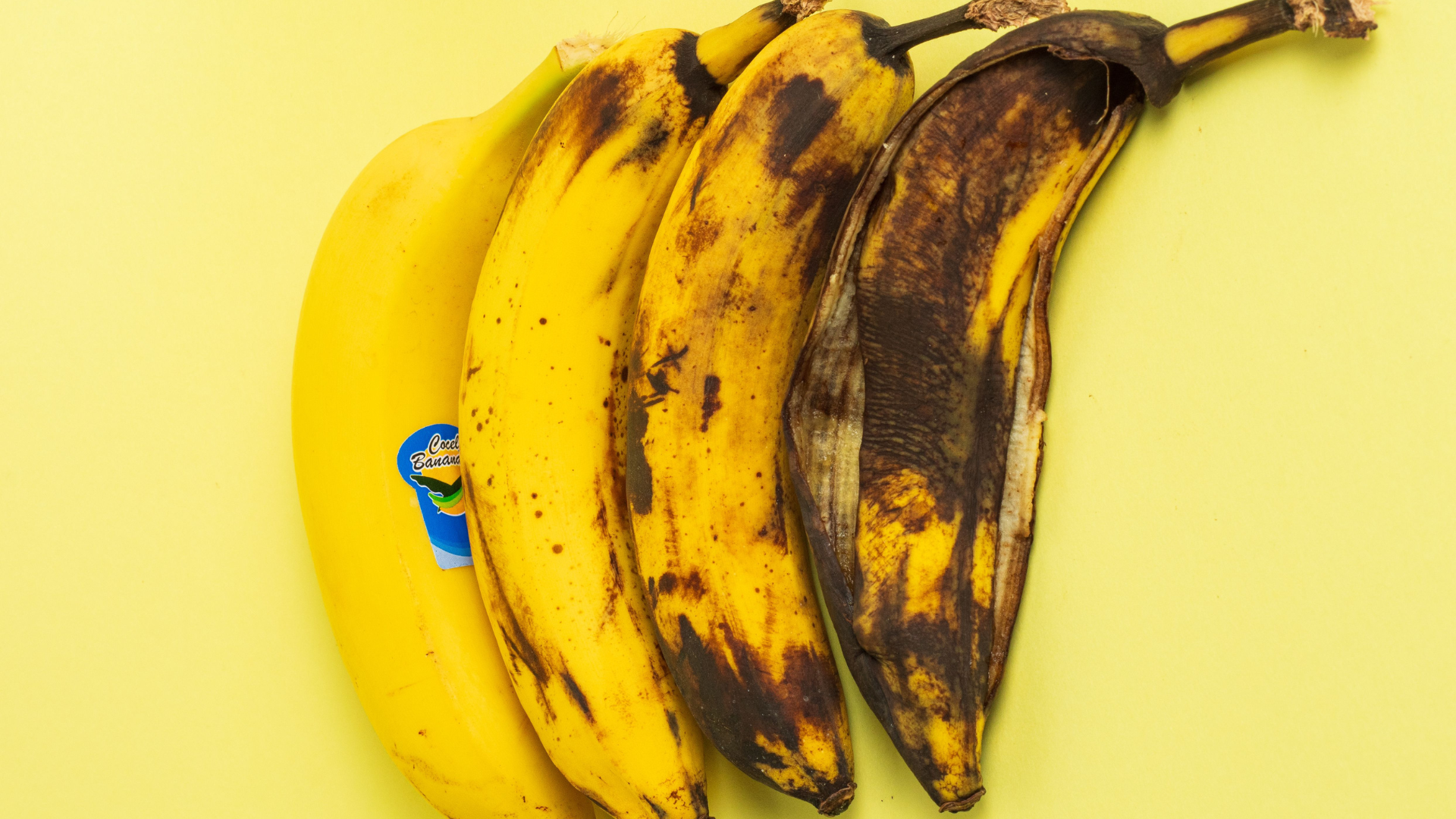 banana-rotton-thumb-rss.png