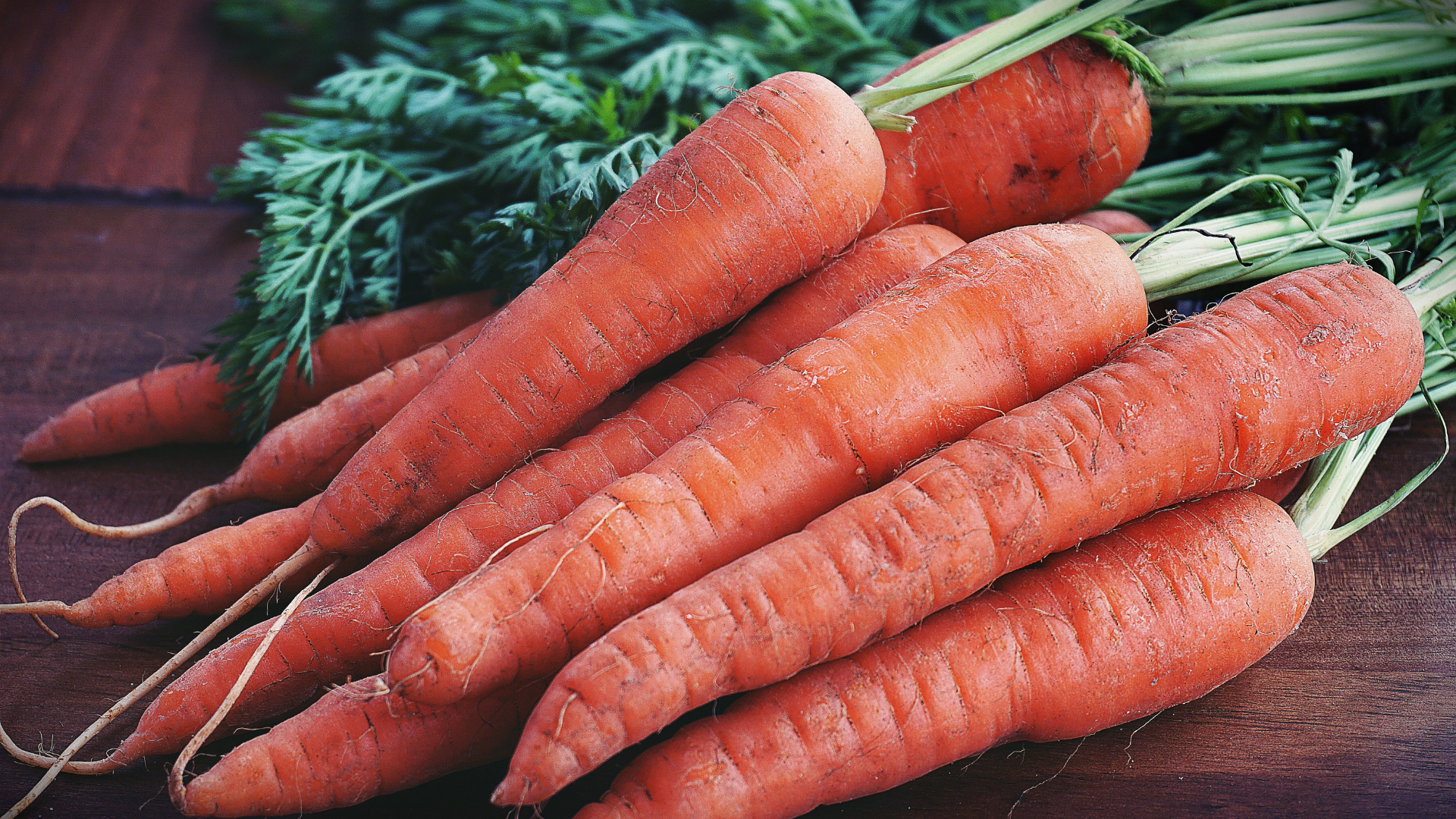 carrots-in-bunch-thumb-rss.png